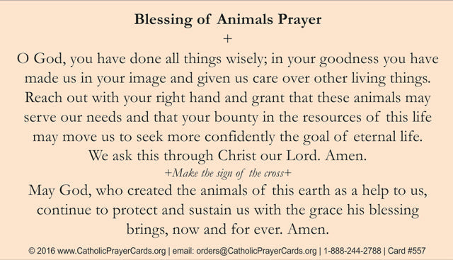 St. Francis Prayer Card, 10-Pack Keep God in Life