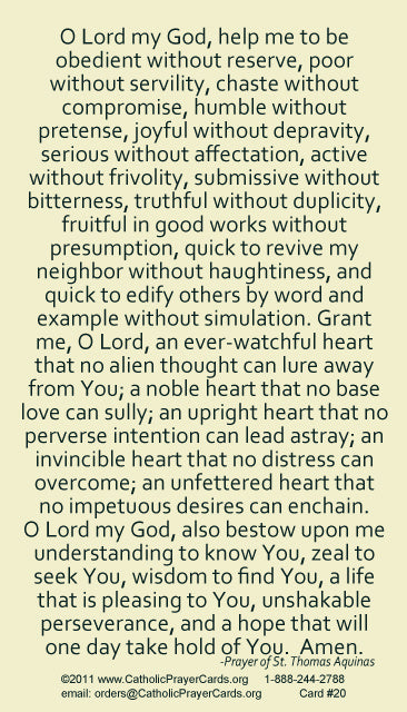 St. Thomas Aquinas LAMINATED Prayer Card, 5-Pack