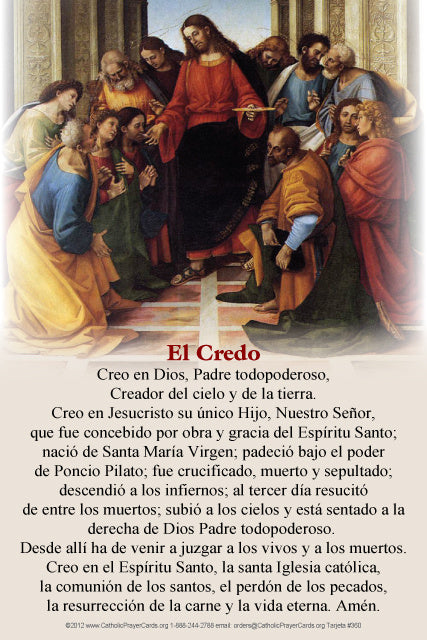 Apostle's Creed, El Credo, in Spanish and English LAMINATED Prayer Card, 3-Pack