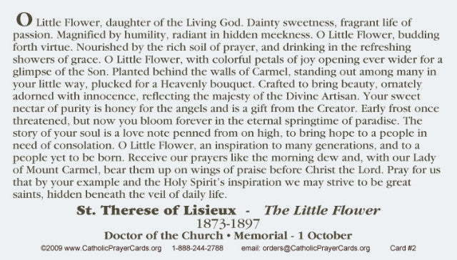 St. Therese of Lisieux LAMINATED Prayer Card, 5 Pack