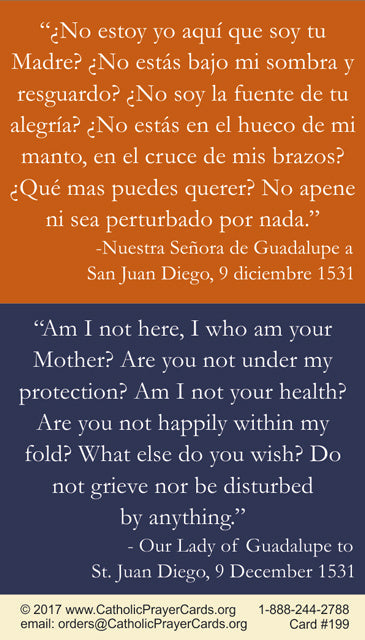 St. Juan Diego LAMINATED Prayer Card, 5-Pack Keep God in Life