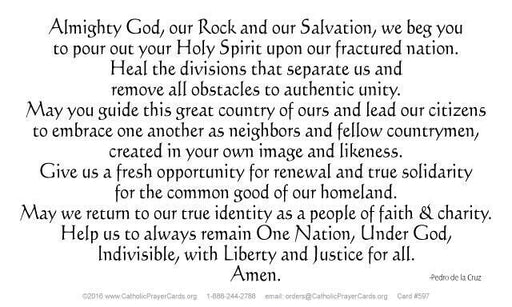 Prayer for the Healing of Our Nation LAMINATED Prayer Card (5 Pack) Keeping God in Sports