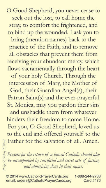 Prayer for the Return of Lapsed Catholics LAMINATED Holy Cards (5 Pack) Keeping God in Sports