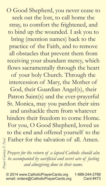 Prayer for the Return of Lapsed Catholics Holy Cards (10 Pack) Keeping God in Sports