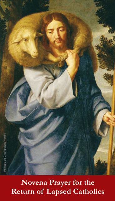 Prayer for the Return of Lapsed Catholics LAMINATED Holy Cards (5 Pack) Keeping God in Sports