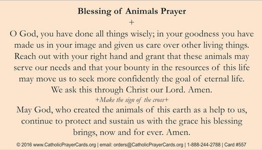 St. Francis Prayer Card, LAMINATED, 5-Pack Keep God in Life