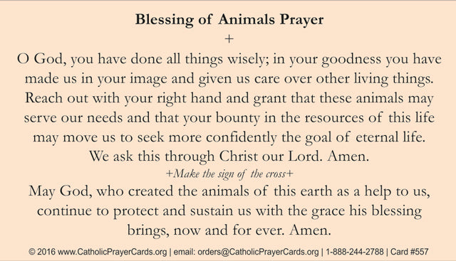 St. Francis Prayer Card, LAMINATED, 5-Pack Keep God in Life