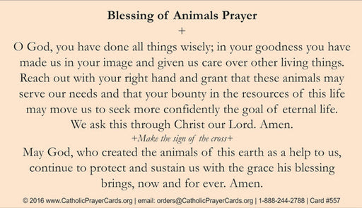 St. Francis Prayer Card, 10-Pack Keep God in Life