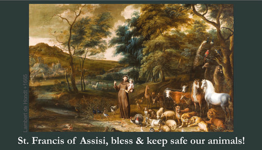 St. Francis Prayer Card, LAMINATED, 5-Pack Keep God in Life
