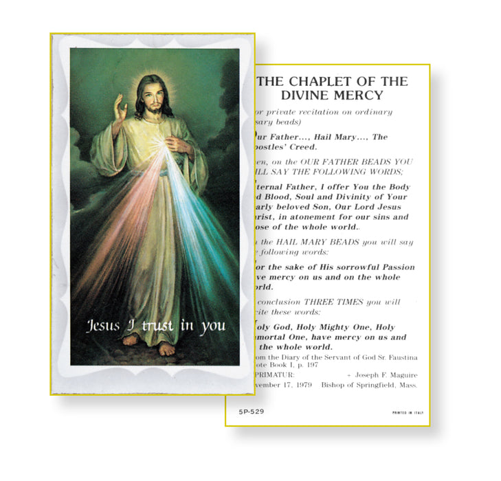 Chaplet of the Divine Mercy Holy Card Keep God in Life