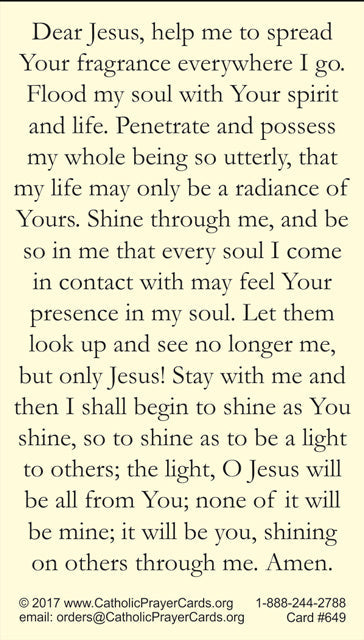 Prayer to Shine the Light of Jesus LAMINATED Prayer Card, 5-Pack Keep God in Life