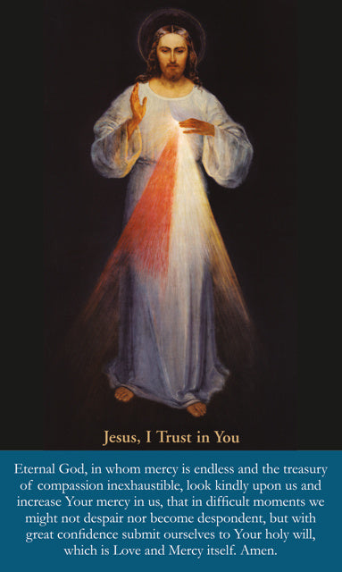 Divine Mercy, Jesus I Trust in You, LAMINATED Prayer Card, 3x5 Inch (5 Pack) Keeping God in Sports