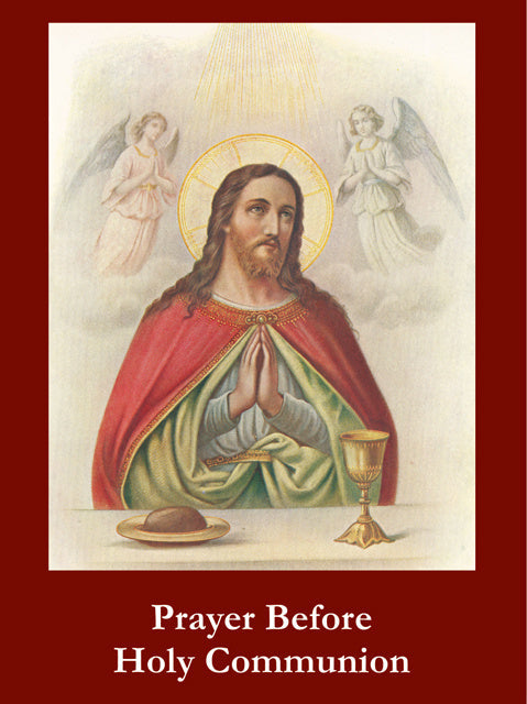 Prayer Before Holy Communion LAMINATED Prayer Card, 5-Pack Keep God in Life