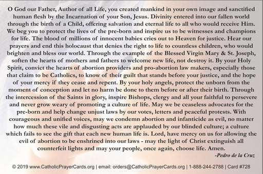 Prayer to End Abortion Prayer Card, LAMINATED 5-Pack Keep God in Life