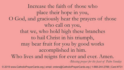 Palm Sunday LAMINATED Prayer Card, 5-Pack Keep God in Life
