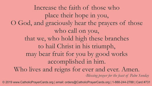 Palm Sunday LAMINATED Prayer Card, 5-Pack Keep God in Life