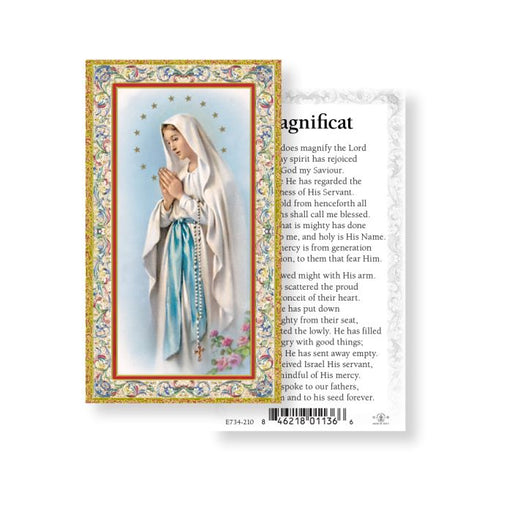 Our Lady of Lourdes LAMINATED Prayer Card, 5-Pack Keep God in Life