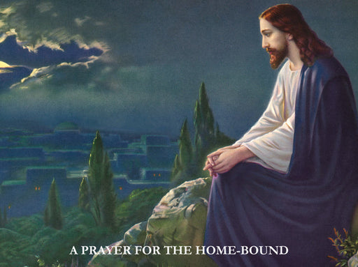 A Prayer for the Homebound LAMINATED Prayer Card (2 Pack) Keep God in Life