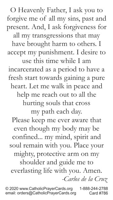 Prayer for the Imprisoned LAMINATED Prayer Card, 5-Pack Keep God in Life