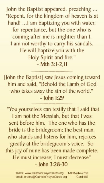 St. John the Baptist LAMINATED Prayer Card, 5-Pack Keep God in Life