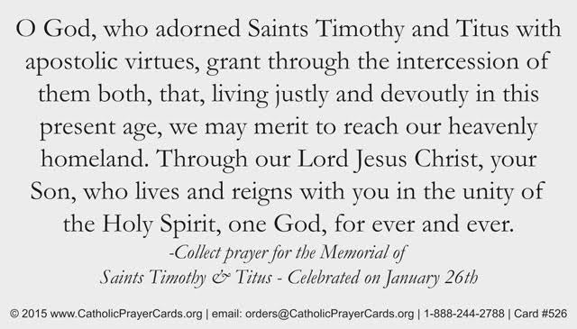 St. Timothy and St. Titus LAMINATED Prayer Card, 5-Pack Keep God in Life