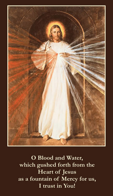 O Blood and Water Divine Mercy LAMINATED Prayer Card, 5-Pack Keep God in Life