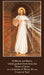 O Blood and Water Divine Mercy Prayer Card, 10-Pack Keep God in Life