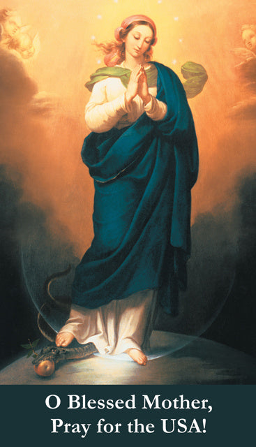 O Blessed Mother Pray for the USA Prayer Card, 10-Pack Keep God in Life